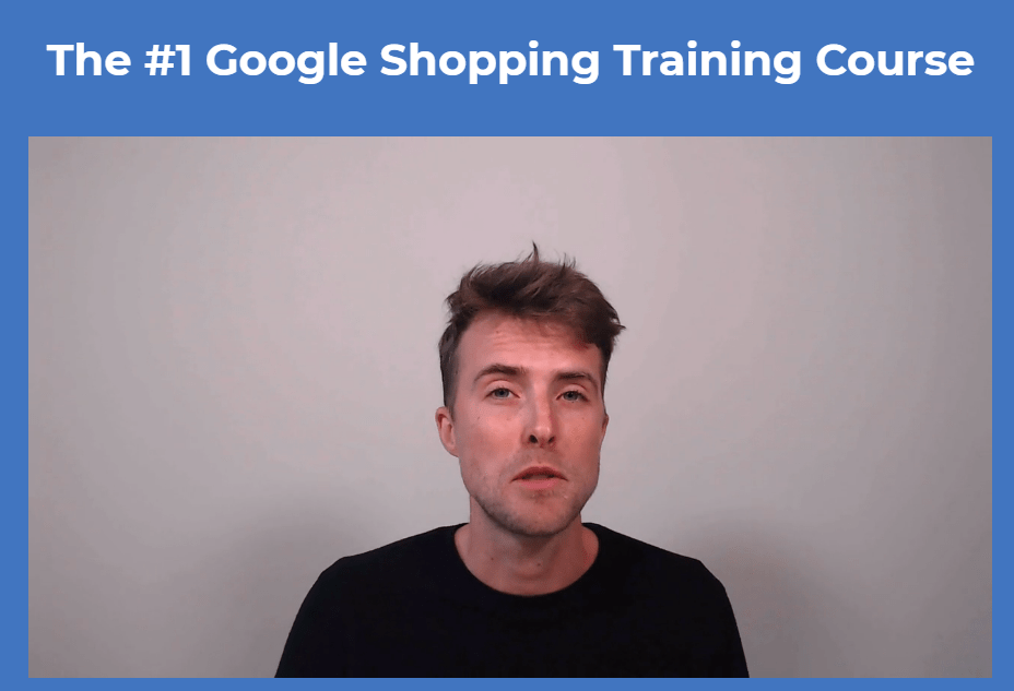 dennis moons google shopping success course on the market download.png