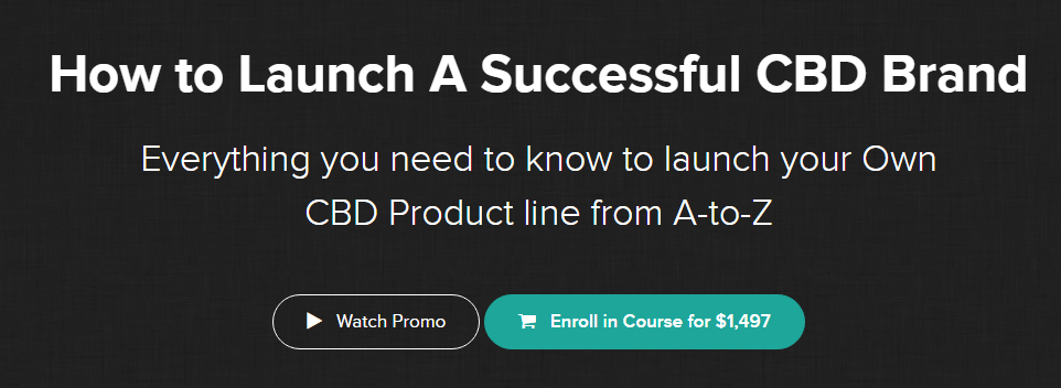 dr. bee thomas matt sibert e28093 how to launch a successful cbd brand download.png