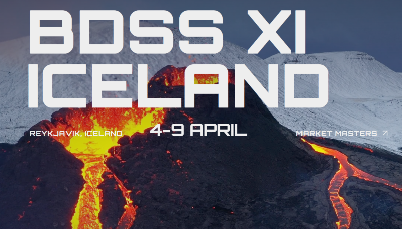 kevin king – billion dollar seller summit xi iceland download.png